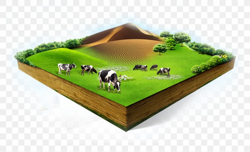 Soured Milk Cattle Organic Food Cows Milk, PNG, 1234x754px, Milk, Cattle, Cows Milk, Dairy, Dairy Cattle Download Free