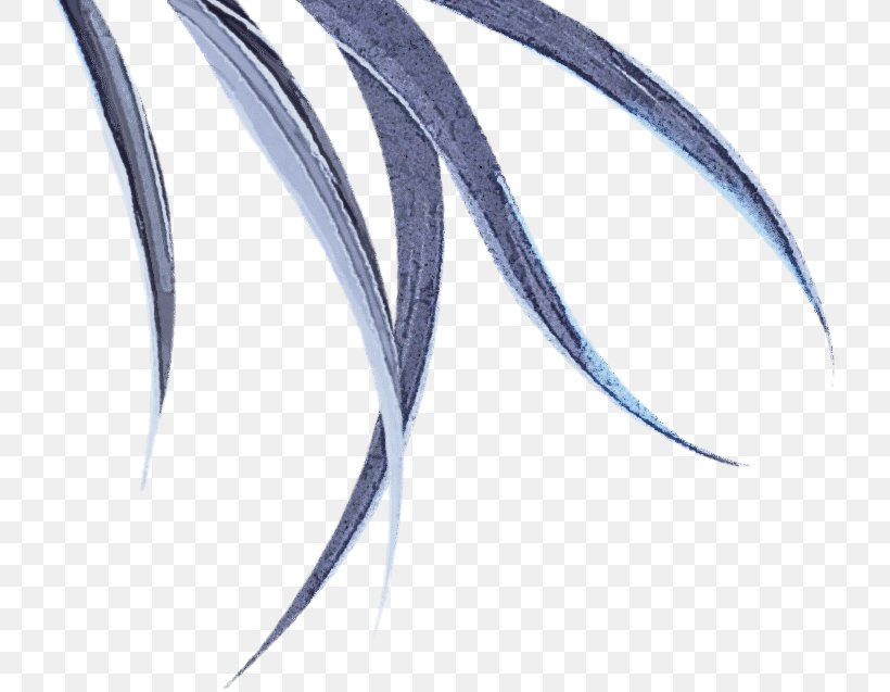 Feather, PNG, 723x637px, Feather Download Free