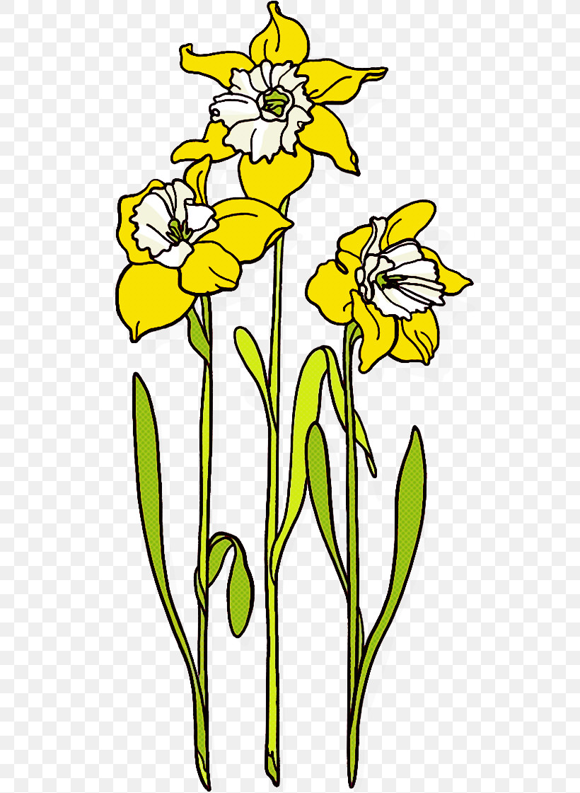 Flower Yellow Plant Narcissus Plant Stem, PNG, 536x1121px, Flower, Cut Flowers, Narcissus, Pedicel, Plant Download Free