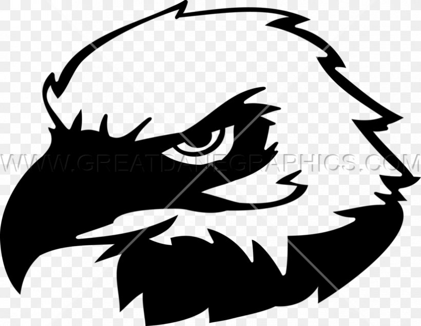 Bald Eagle Clip Art, PNG, 825x639px, Bald Eagle, Art, Artwork, Beak, Bird Download Free