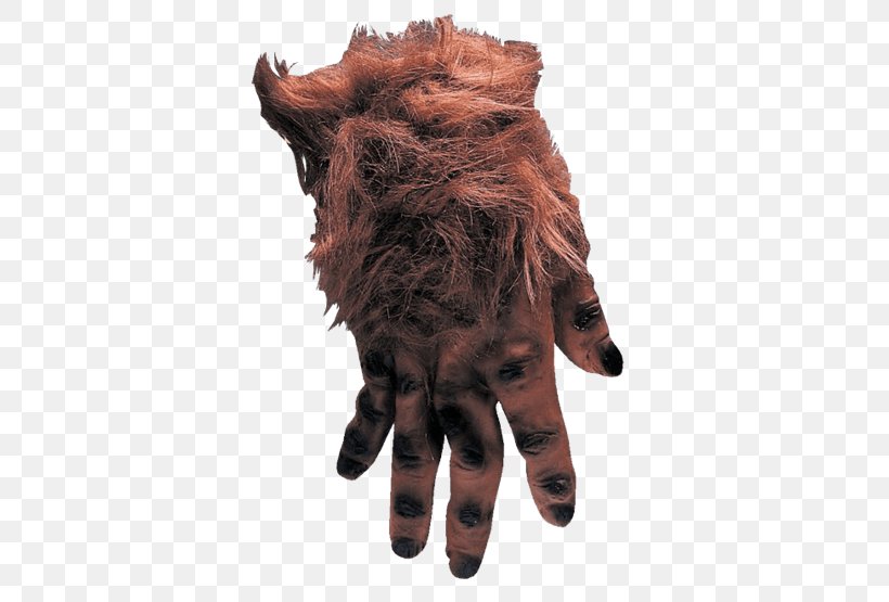 Bigfoot Werewolf Glove Monster Costume, PNG, 555x555px, Bigfoot, Adult, Clothing, Clothing Accessories, Costume Download Free