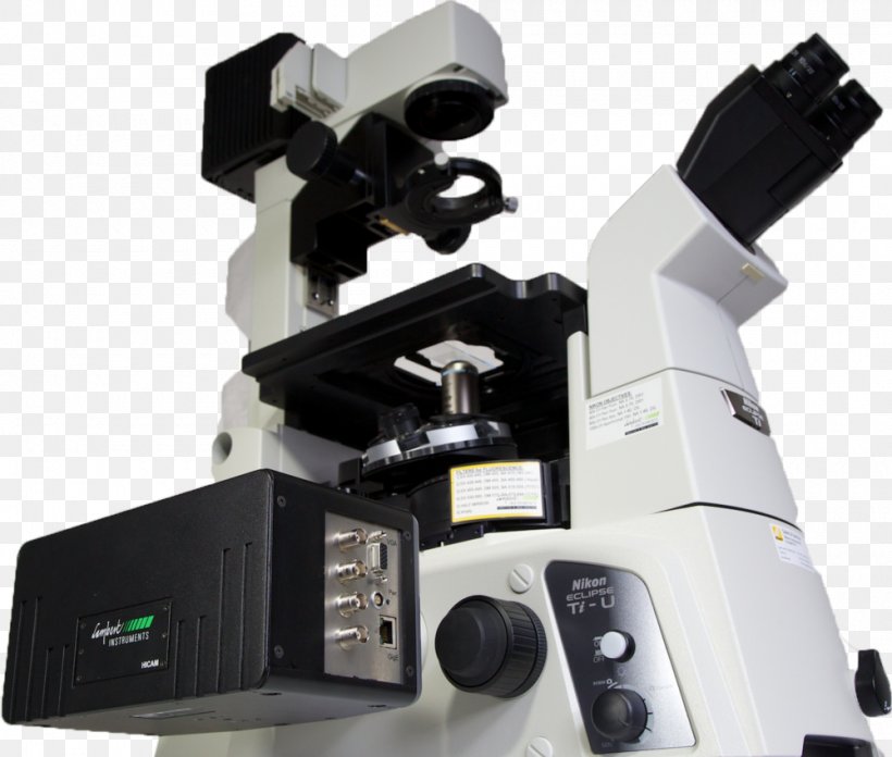 Fluorescence Microscope Light Optical Microscope Confocal Microscopy, PNG, 1000x849px, Microscope, Bildgebendes Verfahren, Camera Accessory, Confocal Microscopy, Diffraction Download Free