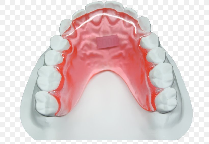 หจก.เมย์เด้นท์ Green DIALux Pink Tooth, PNG, 800x566px, Green, Bottle, Color, Dentist, Email Download Free