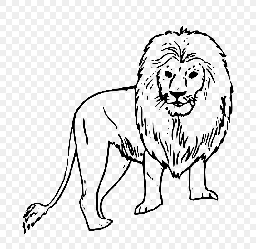 Lion Coloring Book Gir Forest National Park Page Cougar, PNG, 800x800px, Lion, Adult, Animal Figure, Artwork, Big Cat Download Free