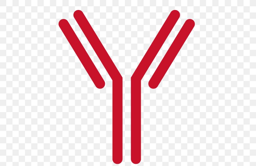 Monoclonal Antibody Clip Art ELISPOT ELISA, PNG, 533x533px, Antibody, B Cell, Brand, Complementarity Determining Region, Elisa Download Free