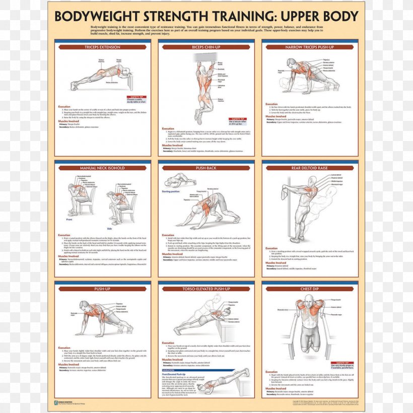 Strength Training Anatomy Bodyweight Exercise Weight Training, PNG, 1000x1000px, Strength Training Anatomy, Area, Bodyweight Exercise, Brand, Calisthenics Download Free