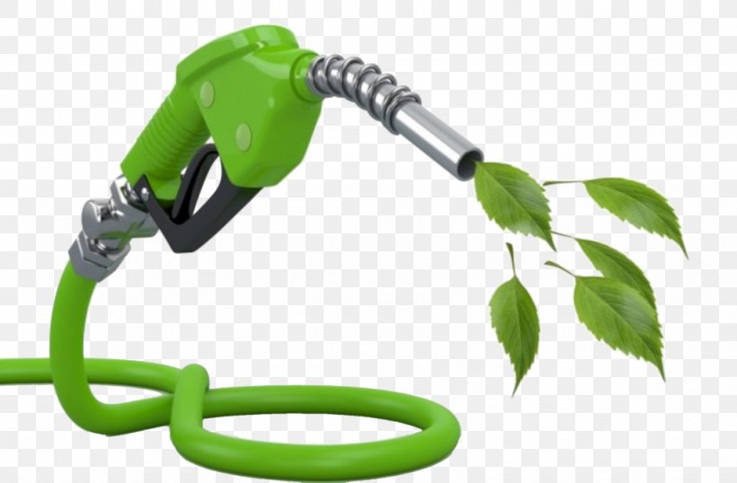 Biofuel Renewable Energy Biodiesel Energy Development, PNG, 1024x672px, Biofuel, Biodiesel, Bioenergy, Cellulosic Ethanol, Energy Download Free