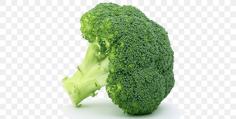 Broccoli Food Cauliflower Cooking, PNG, 500x413px, Broccoli, Appetite, Brassica Oleracea, Cauliflower, Cooking Download Free