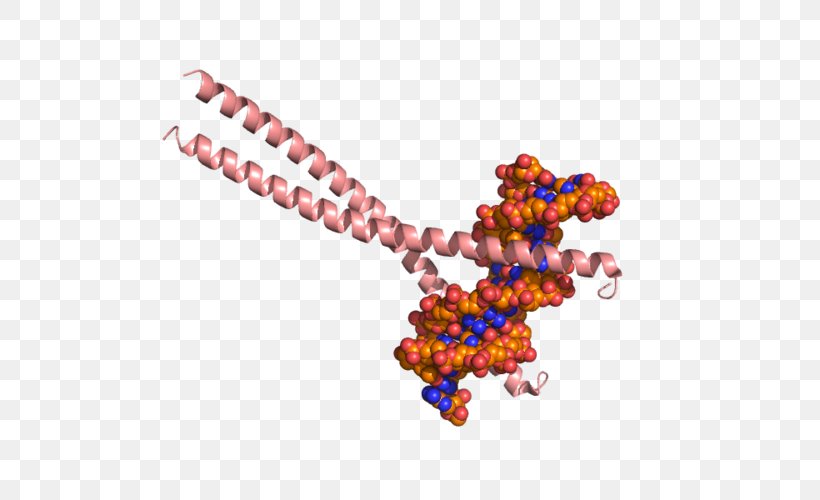 CEBPB Ccaat-enhancer-binding Proteins Histone Acetyltransferase CEBPA Structure, PNG, 500x500px, Histone Acetyltransferase, Acetyltransferase, Art, Bead, Body Jewelry Download Free