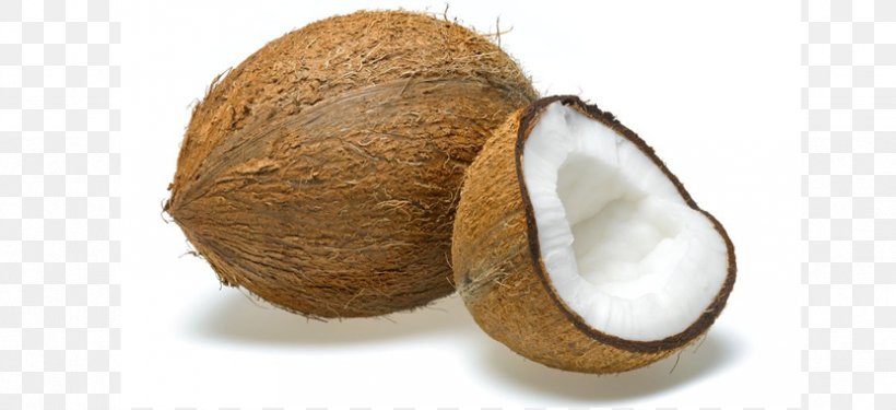 Coconut Oil Fruit Coconut Milk Powder Eggplant, PNG, 832x381px, Coconut, Coconut Milk Powder, Coconut Oil, Copra, Dried Fruit Download Free