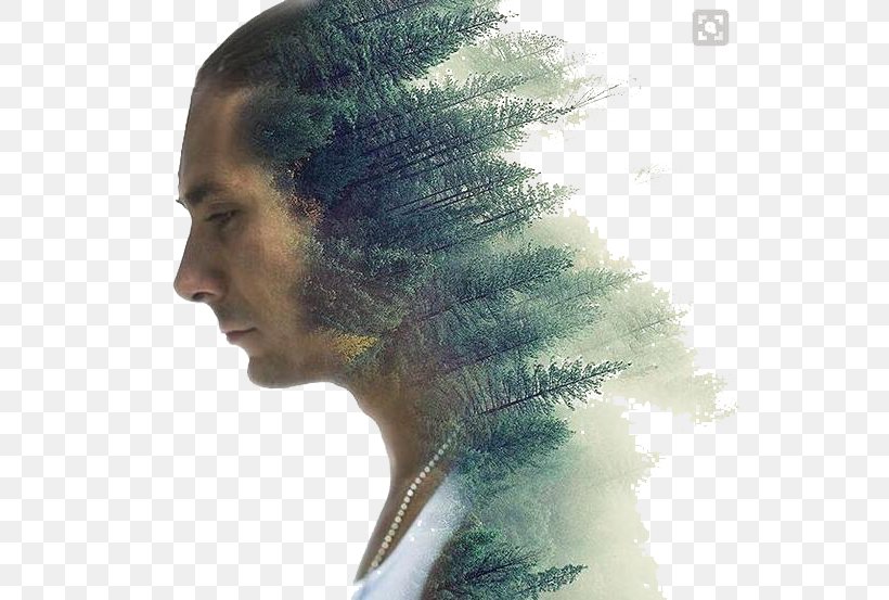 Multiple Exposure Poster Fine-art Photography, PNG, 574x553px, Multiple Exposure, Afro, Art, Black Hair, Cinemagraph Download Free