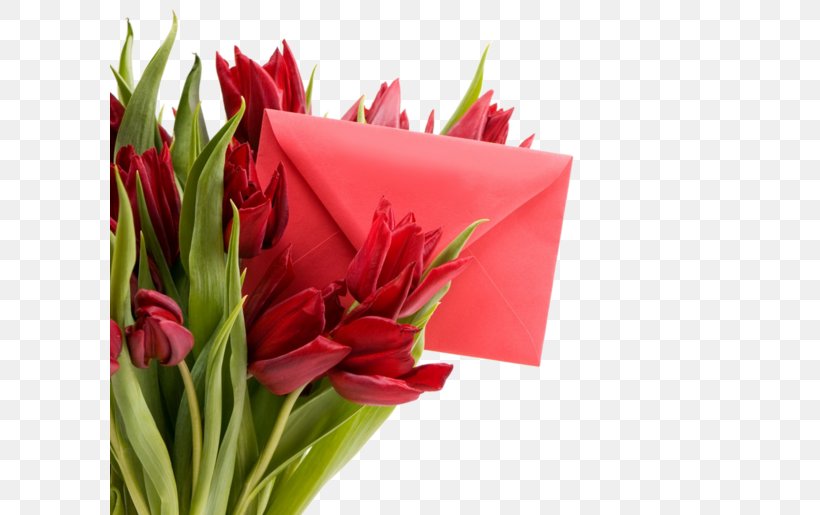Tulip Desktop Metaphor Flower Holiday Wallpaper, PNG, 600x515px, Tulip, Alstroemeriaceae, Cut Flowers, Desktop Metaphor, Easter Download Free