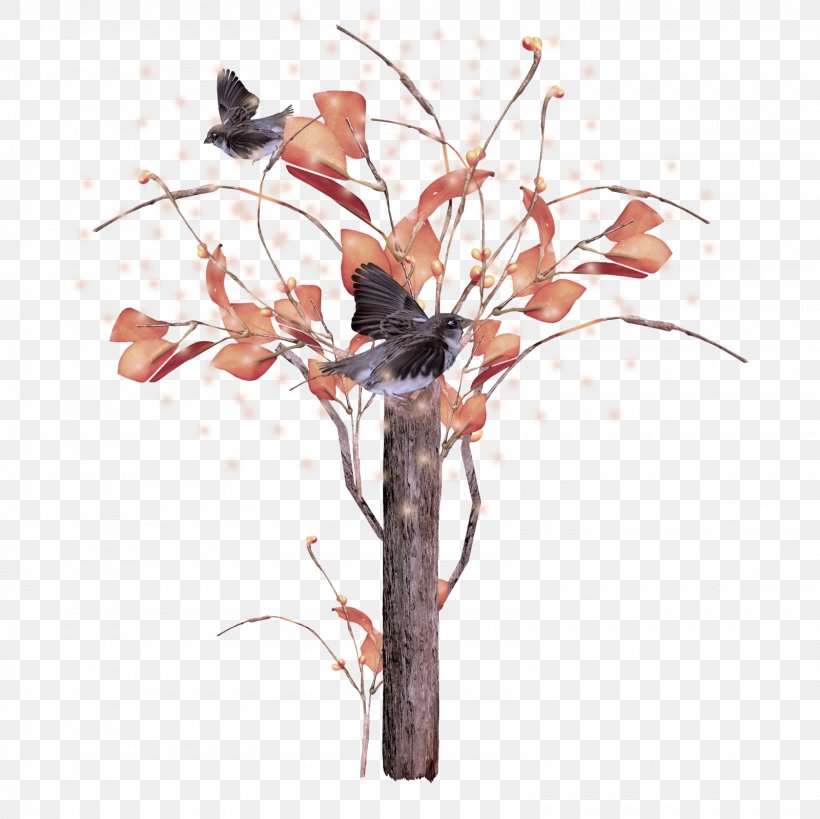 Branch Twig Tree Plant Plant Stem, PNG, 1600x1600px, Branch, Flower, Leaf, Plant, Plant Stem Download Free