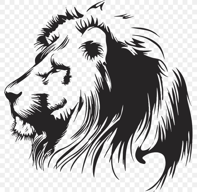 Lion Clip Art Vector Graphics Drawing Illustration, PNG, 796x800px, Lion, Art, Big Cats, Black, Black And White Download Free