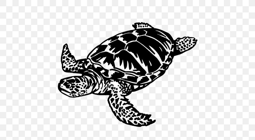 Loggerhead Sea Turtle Terrapene Home's Hinge-back Tortoise, PNG, 450x450px, Loggerhead Sea Turtle, Animal, Black And White, Box Turtle, Emydidae Download Free