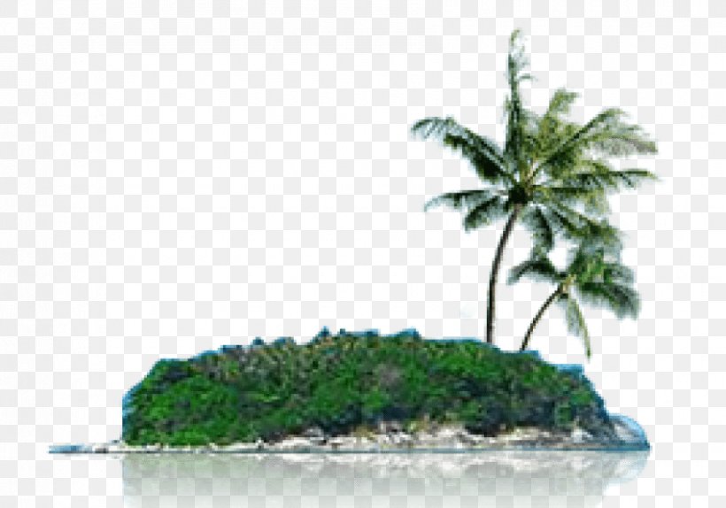 Clip Art Image Psd Island, PNG, 850x596px, Island, Document, Flowerpot, Grass, Houseplant Download Free