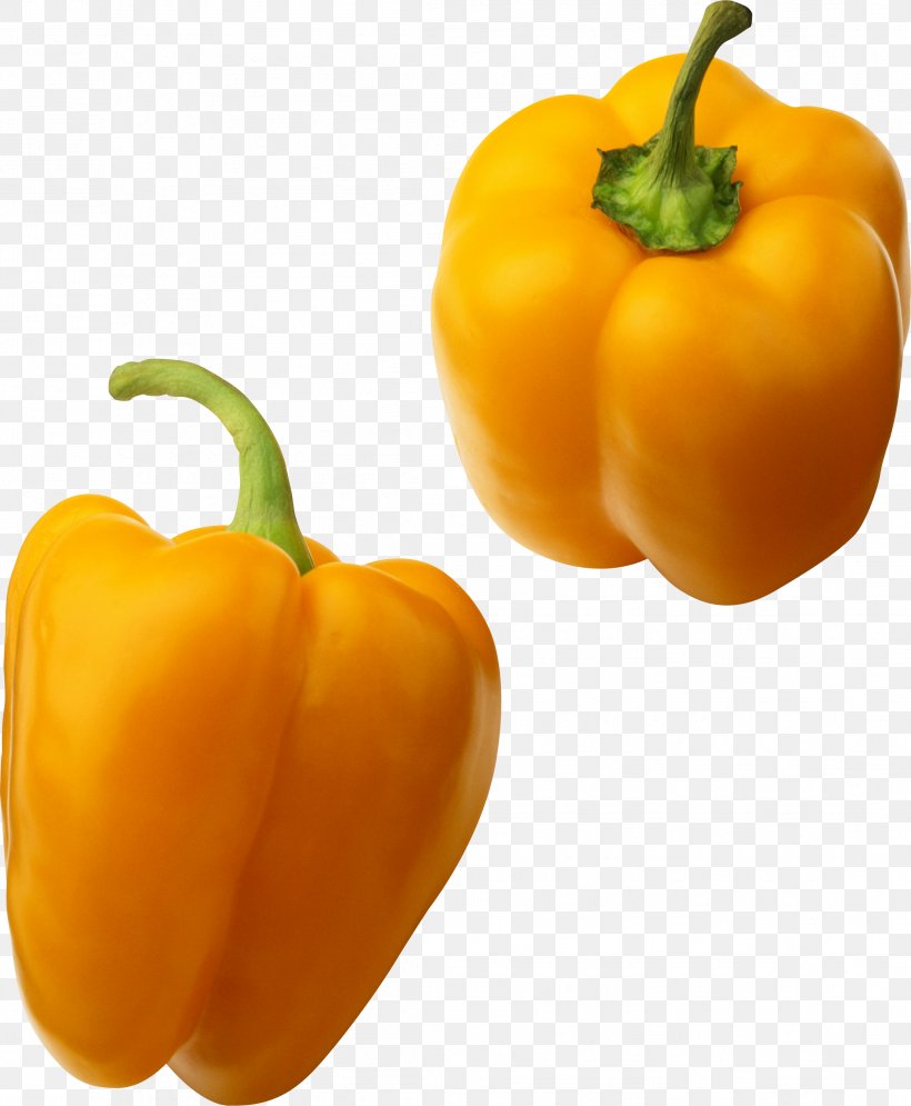 Bell Pepper Facing Heaven Pepper Lingshui Li Autonomous County Habanero Vegetable, PNG, 2217x2692px, Bell Pepper, Bell Peppers And Chili Peppers, Calabaza, Capsicum, Capsicum Annuum Download Free