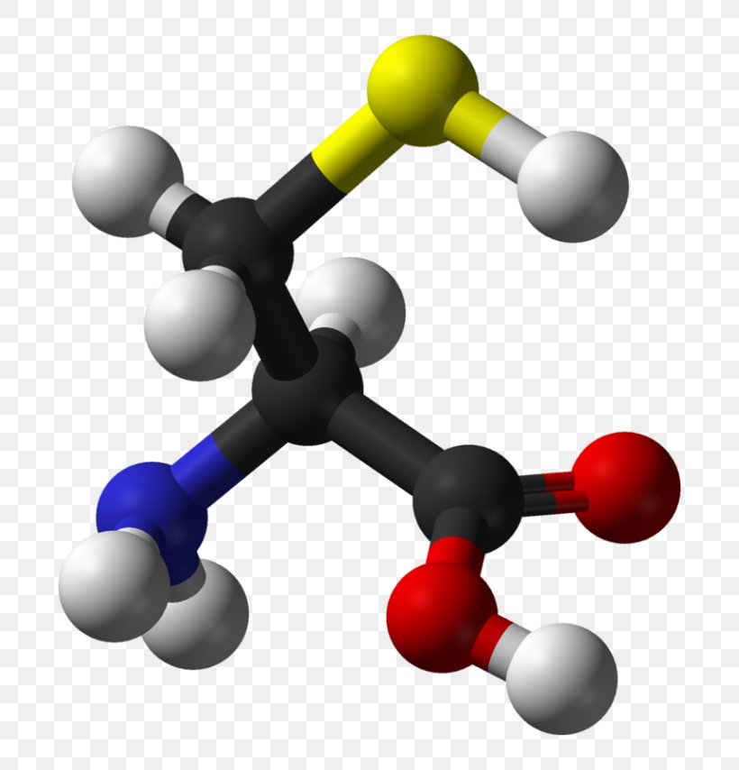 Dietary Supplement Serine Amino Acid Cysteine Chemistry, PNG, 768x854px, Dietary Supplement, Acid, Amino Acid, Body, Chemistry Download Free