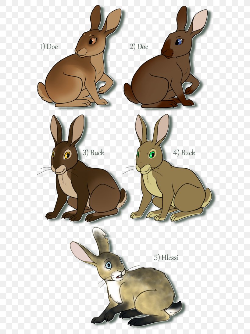 Domestic Rabbit Watership Down Hare Child, PNG, 730x1095px, Domestic Rabbit, Animal, Art, Artist, Child Download Free