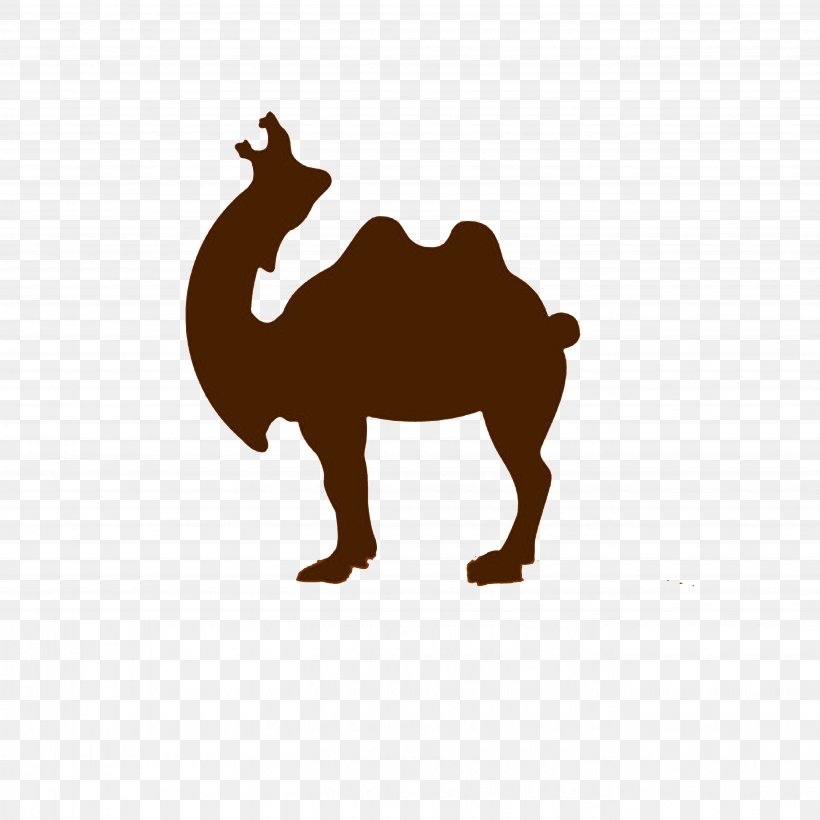 Dromedary Lion Roar, PNG, 5487x5487px, Dromedary, Arabian Camel, Camel, Camel Like Mammal, Lion Download Free