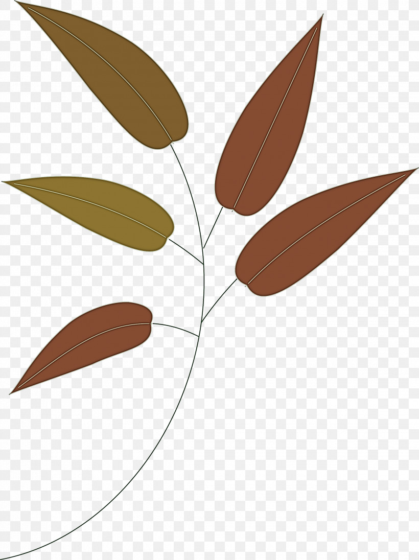 Leaf Leaves, PNG, 2244x3000px, Leaf, Brown, Eucalyptus, Flower, Leaves Download Free