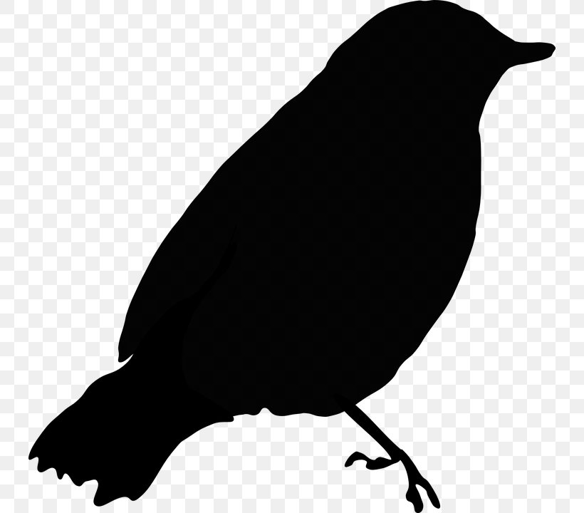 Common Blackbird Clip Art, PNG, 740x720px, Bird, American Crow, Beak, Bird Nest, Black And White Download Free
