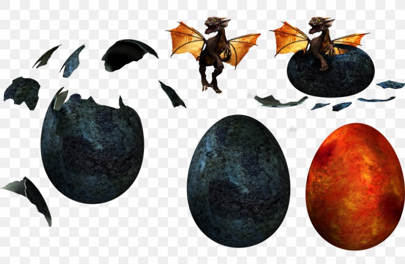 Dragon Egg Drawing Animation, PNG, 833x544px, Dragon, Animation, Child, Color, Drawing Download Free
