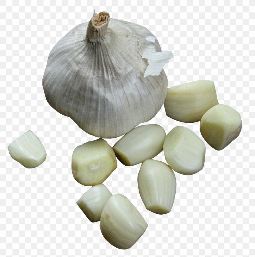 Elephant Garlic Condiment Vegetable, PNG, 1371x1380px, Barbacoa, Android, Elephant Garlic, Food, Garlic Download Free
