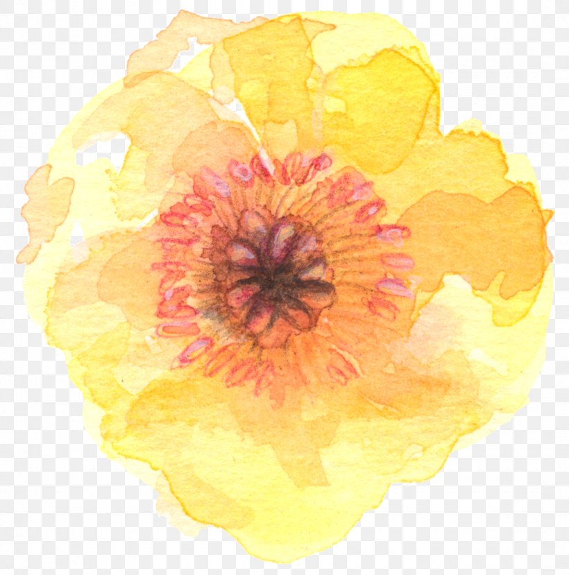 Flower Watercolor Painting Yellow, PNG, 1080x1092px, Flower, Art, Color, Floral Design, Flowering Plant Download Free