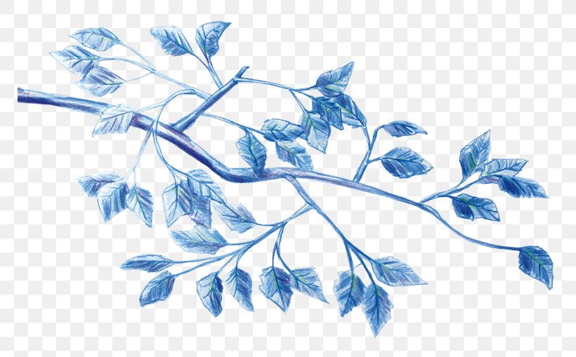 /m/02csf Cooperativa Obrera Leaf Plant Stem Drawing, PNG, 770x509px, Leaf, Blue, Branch, Deliberative Assembly, Drawing Download Free