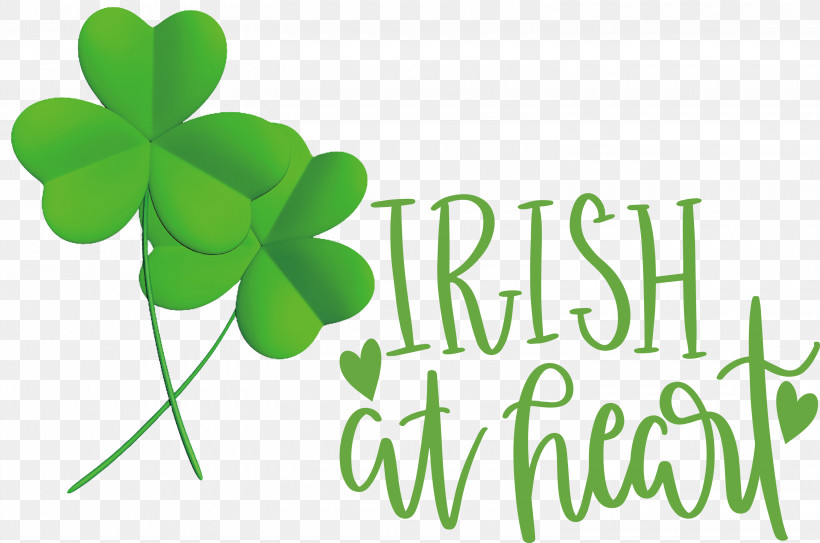 Shamrock Irish Saint Patrick, PNG, 3000x1987px, Shamrock, Clover, Drawing, Fourleaf Clover, Ireland Download Free