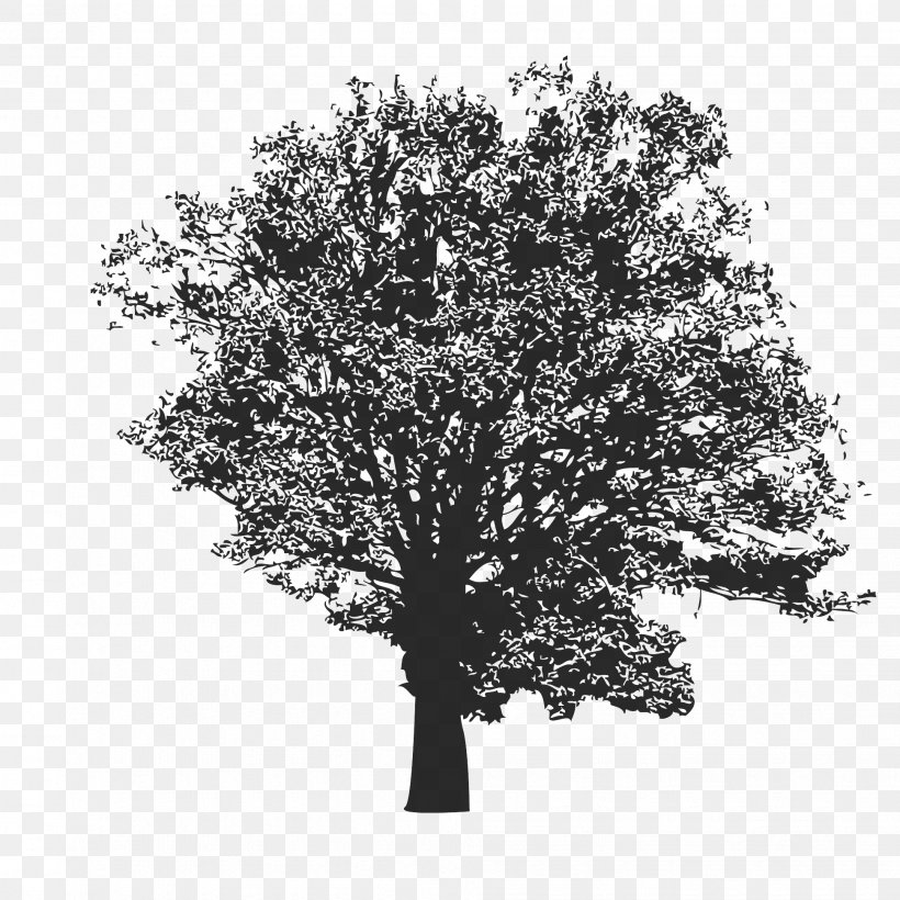Tree Styria Arboriculture Woody Plant Clip Art, PNG, 1941x1941px, Tree, Agriculture, Arboriculture, Art, Black And White Download Free