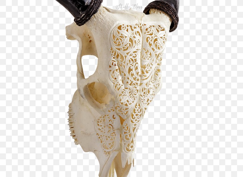 Animal Skulls XL Horns Cattle, PNG, 600x600px, Skull, Animal, Animal Skulls, Balinese People, Bone Download Free