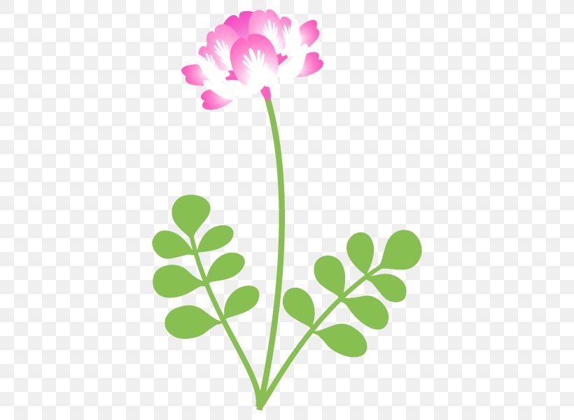 Astragalus Sinicus Illustration Milkvetch Plants Flowering Plant, PNG, 600x600px, Milkvetch, Annual Plant, Cut Flowers, Flora, Flower Download Free