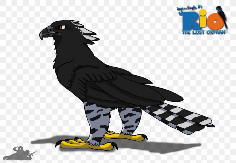 Eagle YouTube Rio Drawing Fan Art, PNG, 2510x1742px, Eagle, Art, Beak, Bird, Bird Of Prey Download Free