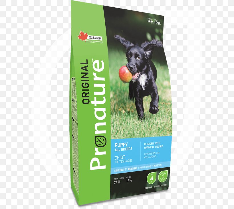 Puppy Dog Breed Cat Food Dog Food, PNG, 599x735px, Puppy, Breed, Cat Food, Chicken, Dog Download Free