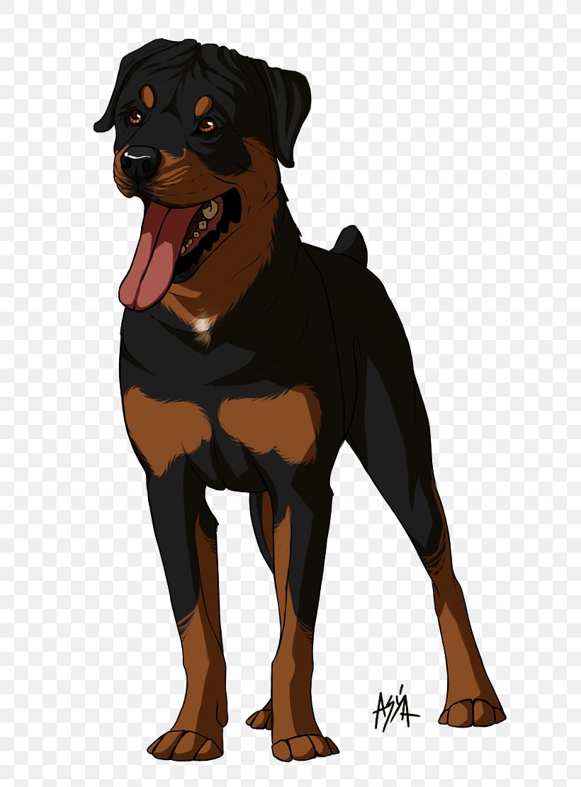 Dog Breed Rottweiler Snout Animated Cartoon, PNG, 706x1111px, Dog Breed