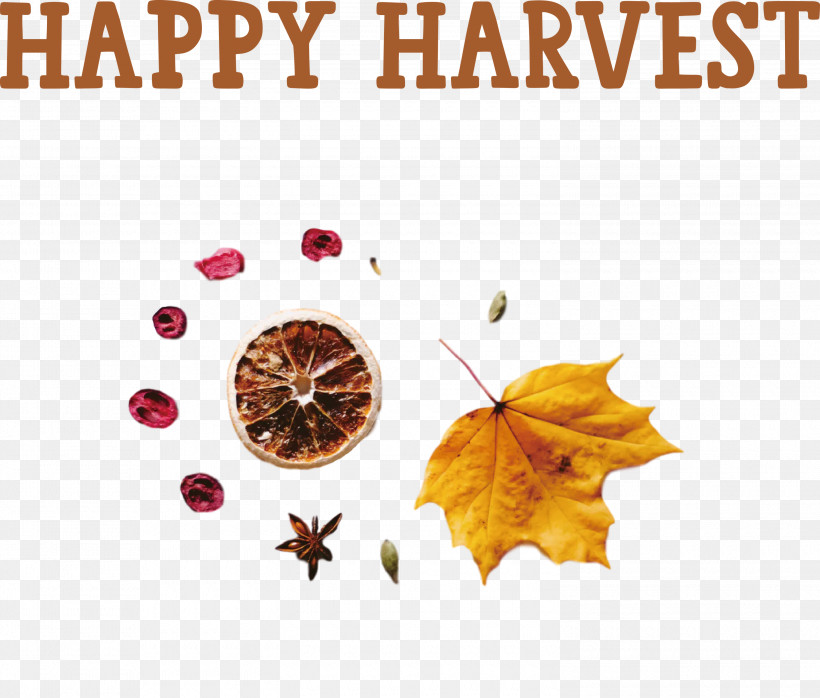 Happy Harvest Harvest Time, PNG, 3000x2556px, Happy Harvest, Biology, Harvest Time, Leaf, Meter Download Free