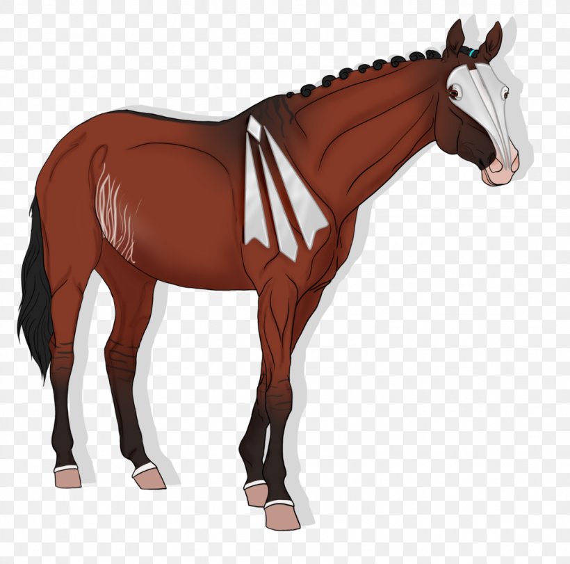 Arabian Horse American Paint Horse Stallion Mare Mustang, PNG, 1024x1014px, Arabian Horse, American Paint Horse, Bridle, Colt, Equestrian Download Free