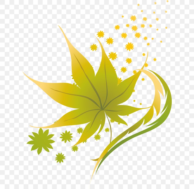 Maple Leaf Clip Art Autumn, PNG, 633x800px, Leaf, Acer Oliverianum Var Nakaharai, Autumn, Autumn Leaf Color, Cartoon Download Free