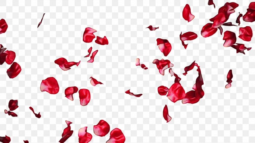 Petal Clip Art Rose Flower, PNG, 1920x1080px, Petal, Carmine, Flower, Heart, Love Download Free