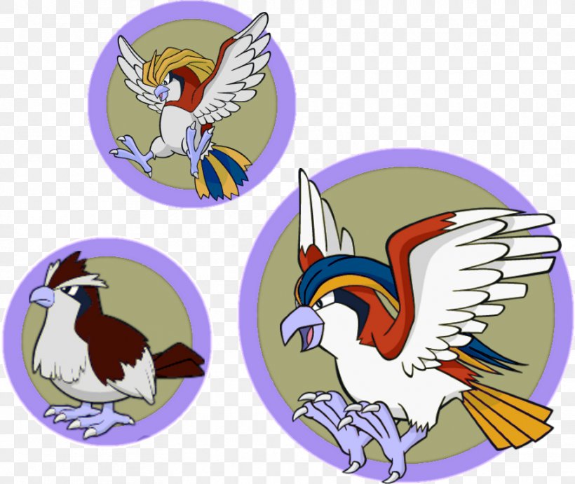 Pidgeotto Pokémon Pokédex, PNG, 908x766px, Pidgeot, Alola, Art, Artist, Beak Download Free