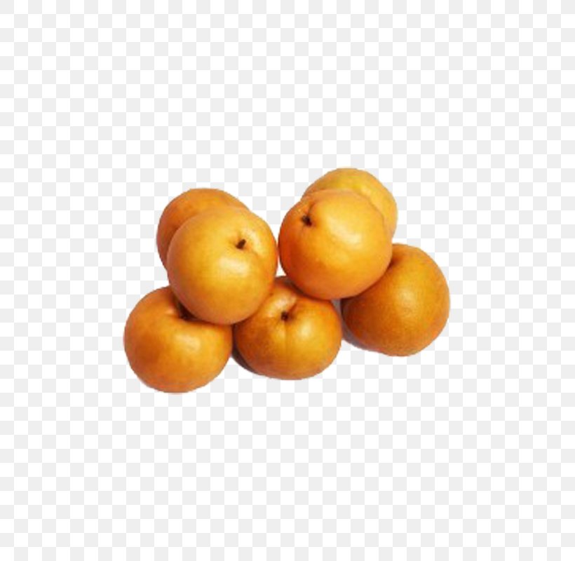 Clementine Icon, PNG, 800x800px, Clementine, Apricot, Auglis, Cdr, Citrus Download Free