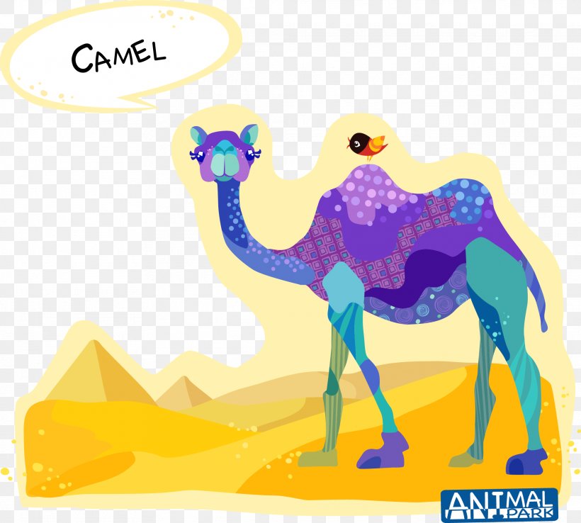 Dromedary Bactrian Camel Cartoon Drawing, PNG, 2076x1870px, Dromedary, Arabian Camel, Art, Bactrian Camel, Camel Download Free