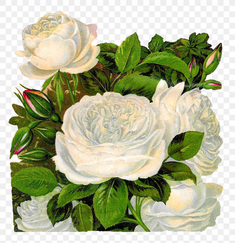 Flower Garden Roses Clip Art, PNG, 1547x1600px, Flower, Artificial Flower, Black Rose, Centifolia Roses, Cut Flowers Download Free