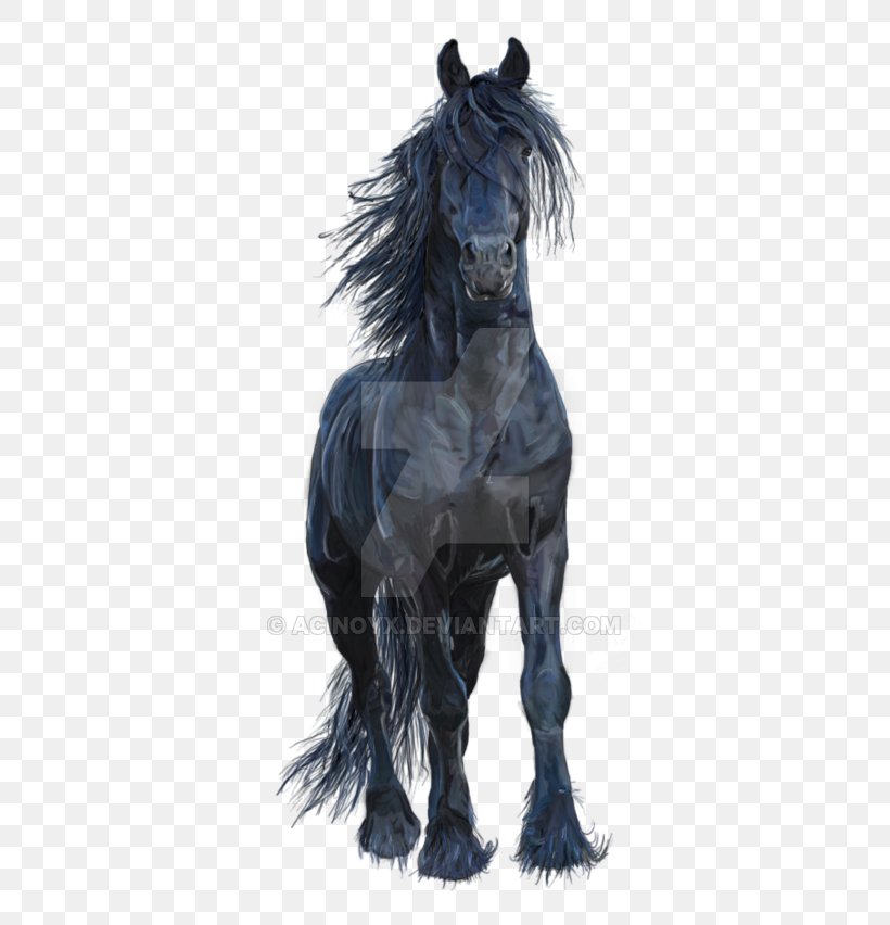 Friesian Horse Stallion Mustang Arabian Horse Pony, PNG, 600x852px, Friesian Horse, Animal, Arabian Horse, Halter, Horse Download Free