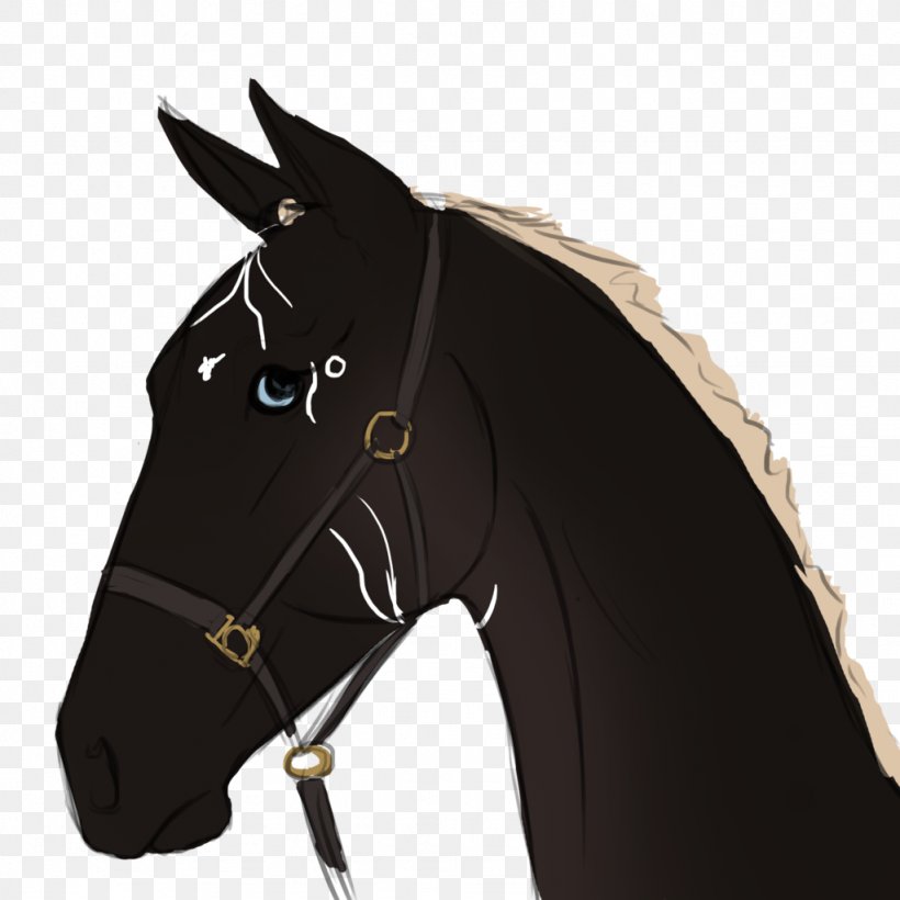 Mustang Bridle Stallion Rein Horse Harnesses, PNG, 1024x1024px, Mustang, Bridle, Halter, Harness Racing, Horse Download Free
