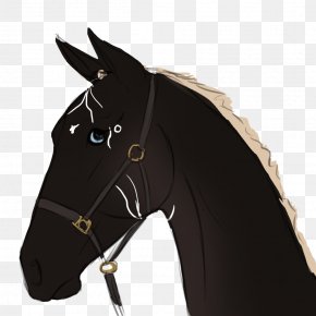 Crioulo Criollo Mustang Bridle, mustang, cavalo, logotipo png