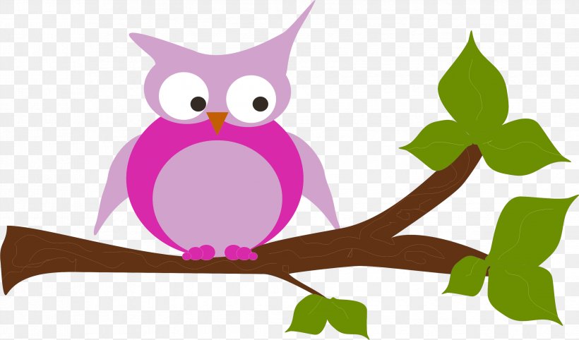 Owl Beak Bird Clip Art, PNG, 3354x1975px, Owl, Beak, Bird, Bird Of Prey, Branch Download Free