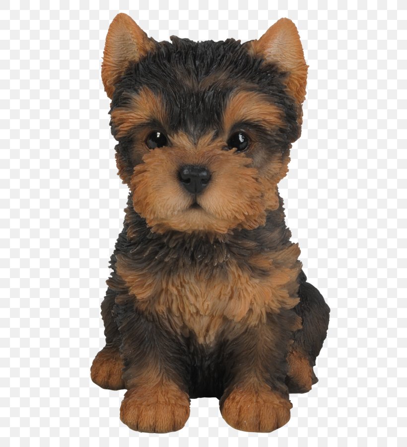 Yorkshire Terrier Puppy Pug Ornament, PNG, 566x900px, Yorkshire Terrier, Australian Silky Terrier, Australian Terrier, Cairn Terrier, Carnivoran Download Free